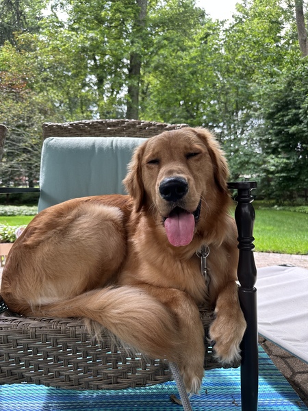 Benji 