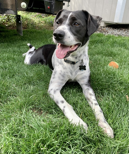 Cooper 