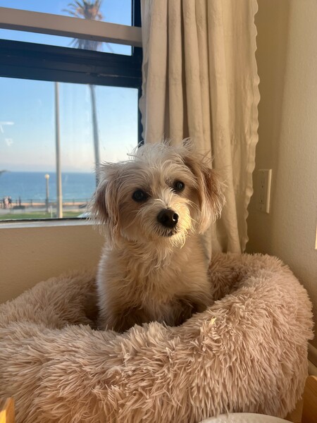 Zoe