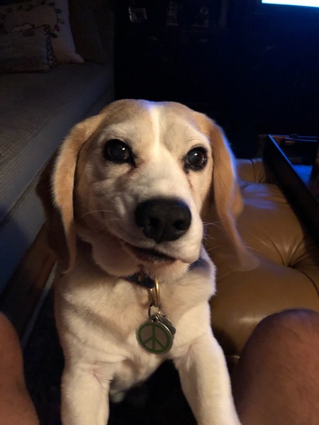 Stanley B.
