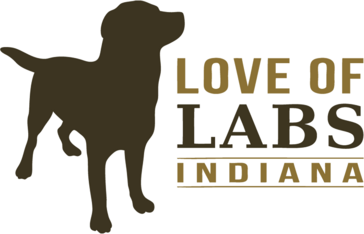 Logo for 2024 LOLIN Calendar Photo Contest