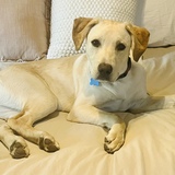 Entry image for Tate