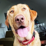 Entry image for Tucker