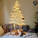 Entry image for Dale