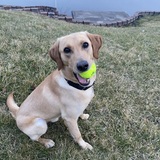 Entry image for Adventure