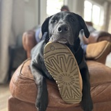 Entry image for Olive