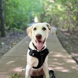 Entry image for Truffle