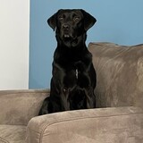 Entry image for Chance