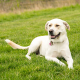 Entry image for Cheyanne