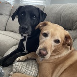 Entry image for Sophie & Bryant