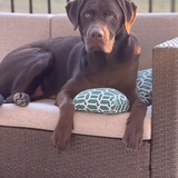 Entry image for Baker