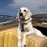 Entry image for Captain Malcolm Reynolds