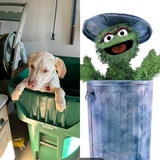 Entry image for Bruno