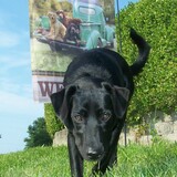 Entry image for Ariel ... AKA.(Jenny2023)