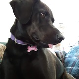 Entry image for Carly