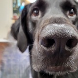 Entry image for Popcorn