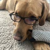 Entry image for Professor Cody