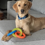 Entry image for Drake