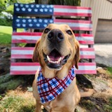 Entry image for Weasley