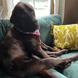 Entry image for Duke