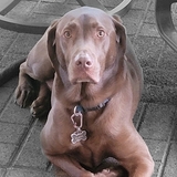 Entry image for Clark 