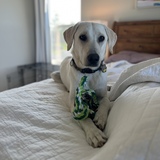 Entry image for Benson