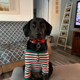 Entry image for Quinn