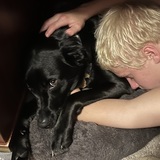 Entry image for Aurora Hope (Rory)