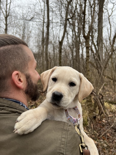 Entry image for Phoebe. Clicking this image will show a larger photo