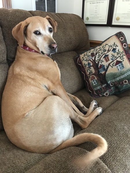 Entry image for Dixie Brockus. Clicking this image will show a larger photo