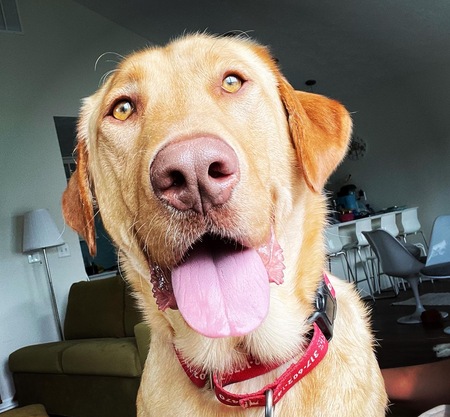 Entry image for Tucker. Clicking this image will show a larger photo