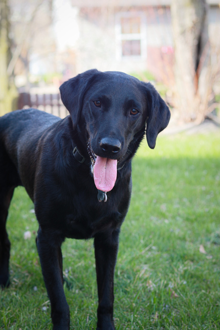 Entry image for Nova May. Clicking this image will show a larger photo