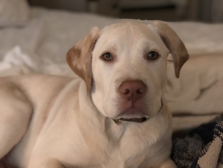 Entry image for Max. Clicking this image will show a larger photo