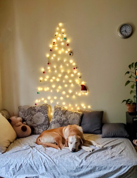 Entry image for Dale. Clicking this image will show a larger photo