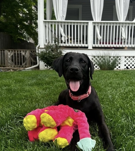 Entry image for Ellie Chase. Clicking this image will show a larger photo