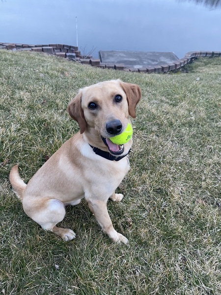 Entry image for Adventure. Clicking this image will show a larger photo