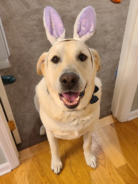 Entry image for Colin. Clicking this image will show a larger photo