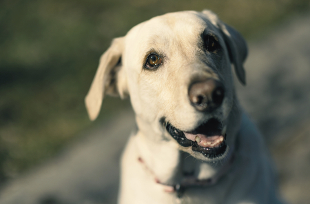 Entry image for River. Clicking this image will show a larger photo