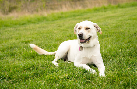 Entry image for Cheyanne. Clicking this image will show a larger photo