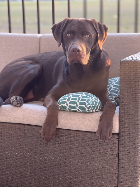 Entry image for Baker. Clicking this image will show a larger photo