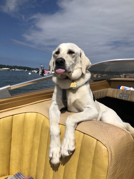 Entry image for Captain Malcolm Reynolds. Clicking this image will show a larger photo