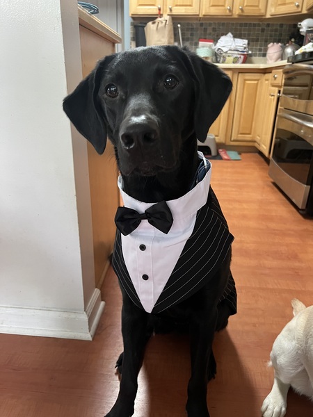 Entry image for Simon. Clicking this image will show a larger photo