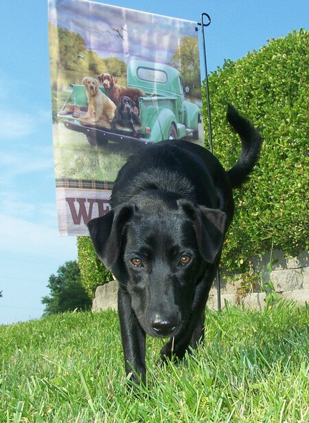 Entry image for Ariel ... AKA.(Jenny2023). Clicking this image will show a larger photo