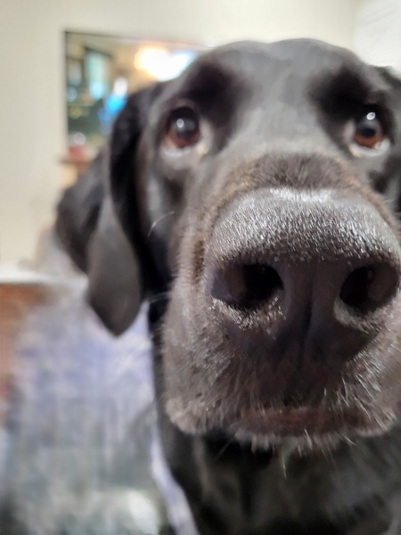 Entry image for Popcorn. Clicking this image will show a larger photo