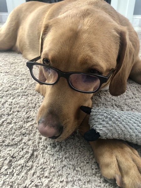 Entry image for Professor Cody. Clicking this image will show a larger photo