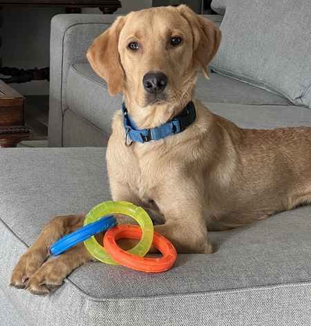 Entry image for Drake. Clicking this image will show a larger photo