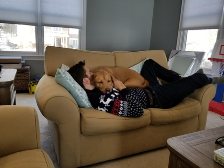 Entry image for Jackson. Clicking this image will show a larger photo