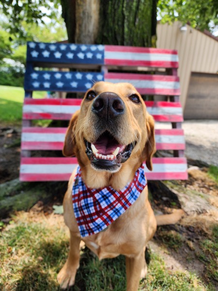 Entry image for Weasley. Clicking this image will show a larger photo