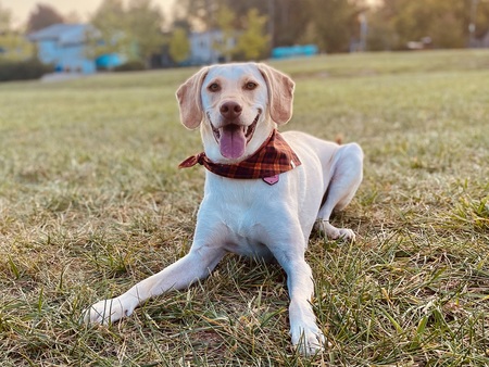 Entry image for Holly. Clicking this image will show a larger photo