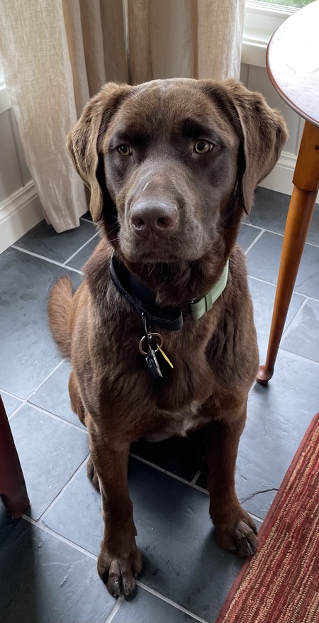 Entry image for Grant. Clicking this image will show a larger photo